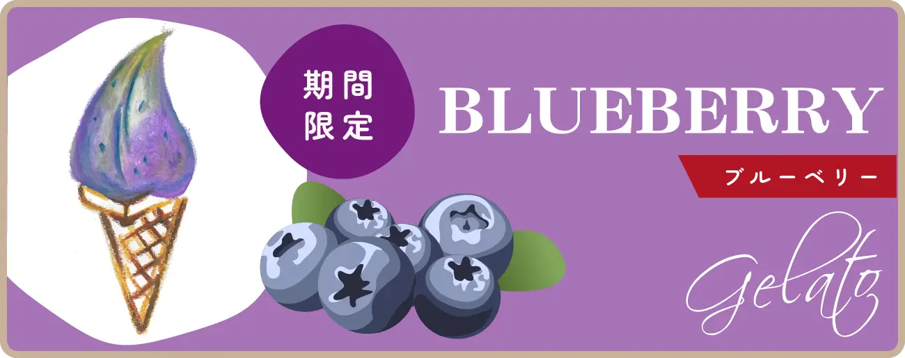 【期間限定】ブルーベリー