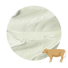 ジャージーのジェラートの画像