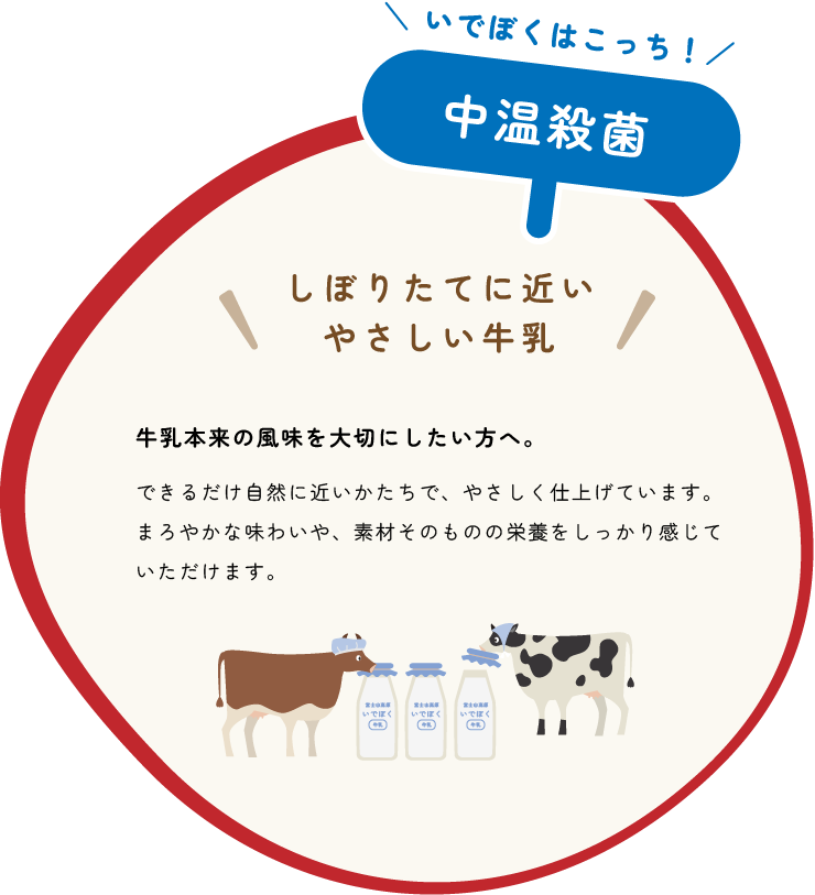 いでぼくは「中温殺菌」しぼりたてに近いやさしい牛乳