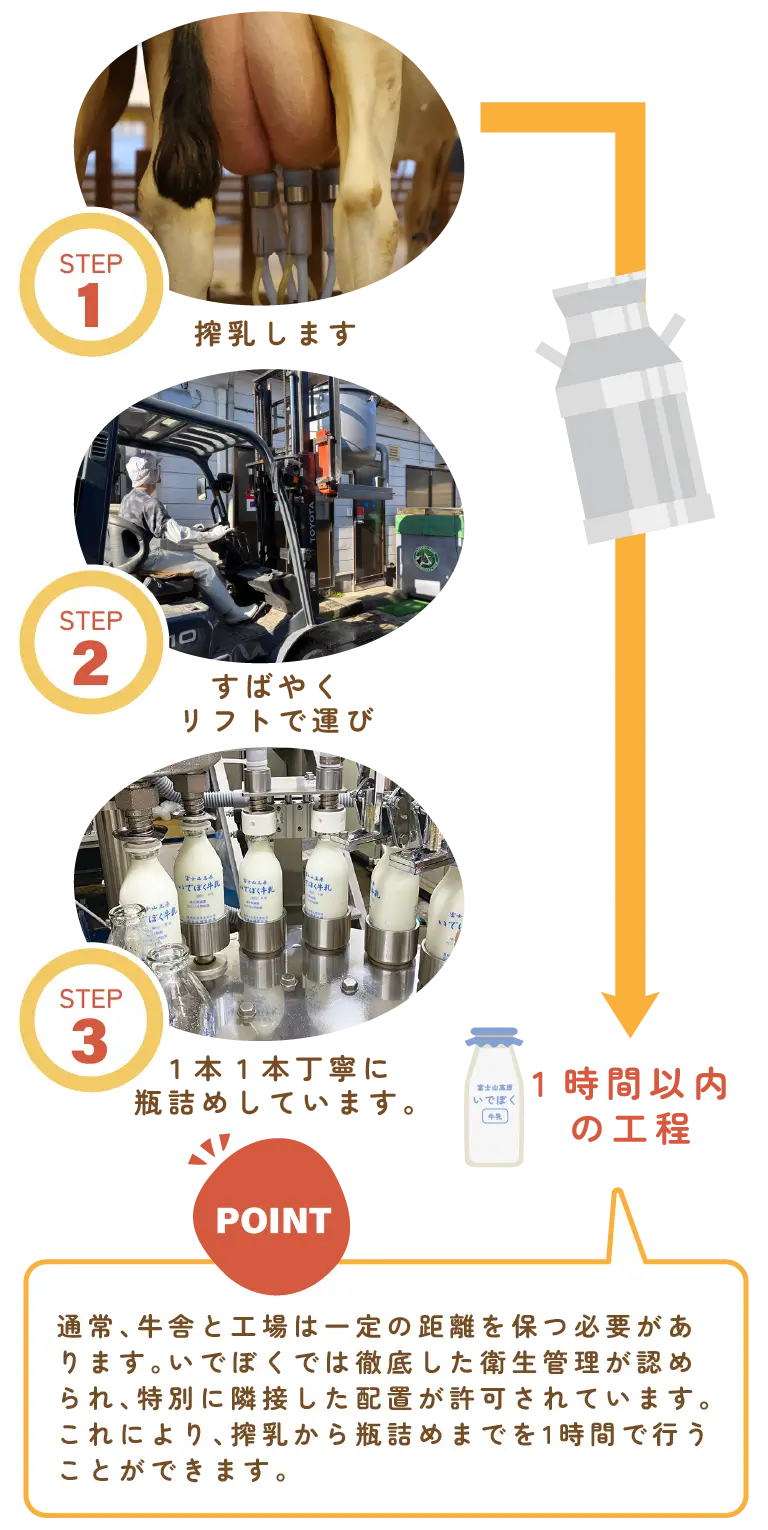 いでぼくでは徹底した衛生管理が認められ、搾乳から瓶詰めまでを1時間以内で行うことができます。
