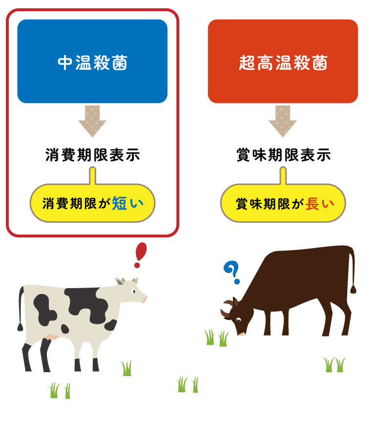 「中温殺菌」と「超高温殺菌」