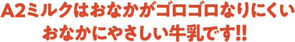 A2ミルクはおなかがゴロゴロなりにくい、おなかにやさしい牛乳です！！