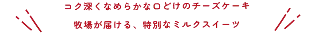 コク深くなめらかな口どけのチーズケーキ。牧場が届ける、特別なミルクスイーツ